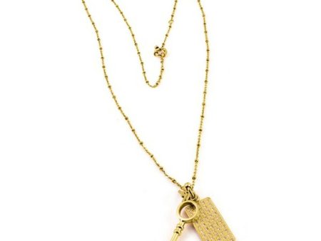 Ladies  Necklace Folli Follie 3N1T066RC 80 cm Fashion