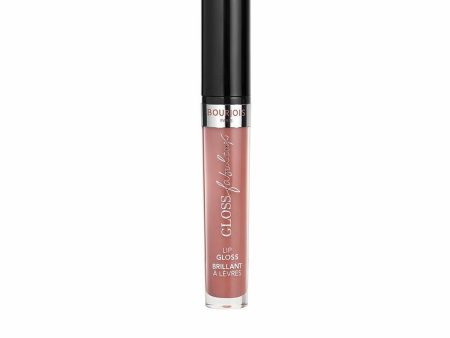 Lipstick Bourjois Gloss Fabuleux 05 (3,5 ml) Discount